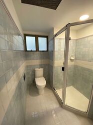 Cavenagh Lodge (D9), Apartment #533892621